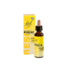 BACH RESCUE DAY CSEPP ALKOHOLMENTES 20ML