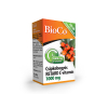 BIOCO CSIPKEBOGYÓS RETARD C-VITAMIN 1000MG FILMTABLETTA CSALÁDI CSOMAG 100DB