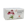 BIOEXTRA ECHINACEA FILTERTEA 20DB