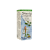 DR.CHEN STEVIA CSEPPEK 50ML